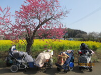 img_20220420-010854.jpg