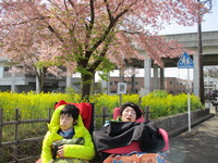 img_20220420-072230.jpg