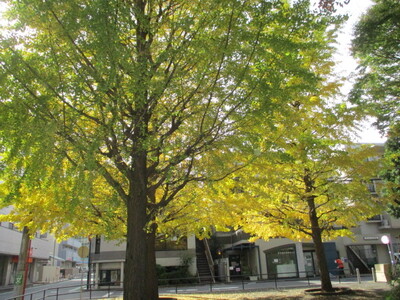 img_20221121-025203.jpg