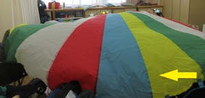 img_20230306-054808.jpg