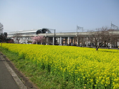 img_20230309-092929.jpg