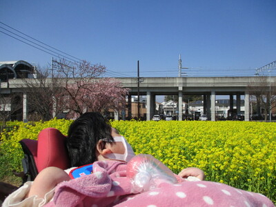 img_20230309-093057.jpg