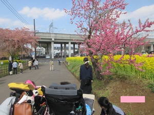 img_20230315-041613.jpg
