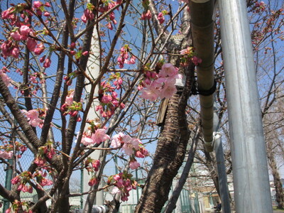 img_20230316-042152.jpg