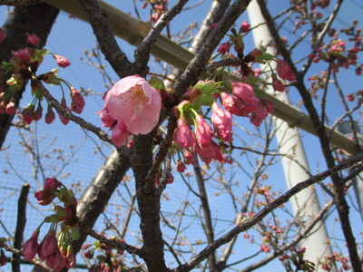 img_20230316-044537.jpg