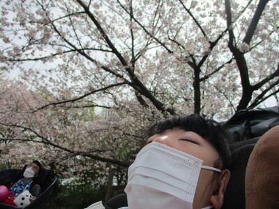 img_20230412-051135.jpg