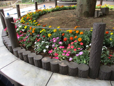 img_20230523-055236.jpg