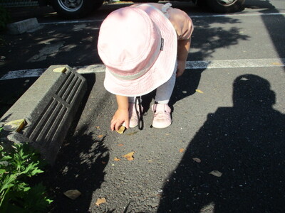img_20231104-190217.jpg