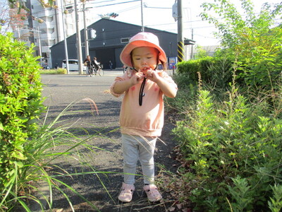 img_20231104-190454.jpg
