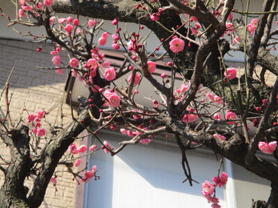 img_20240131-164407.jpg
