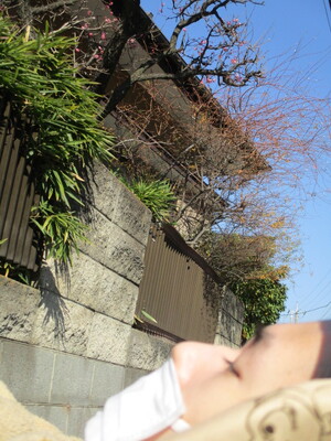 img_20240131-164504.jpg