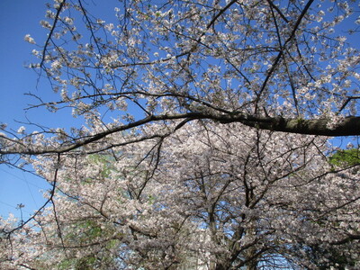 img_20240410-184243.jpg