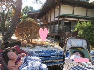 img_20250117-143304.jpg