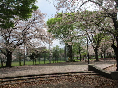 img_20260413-191959.jpg