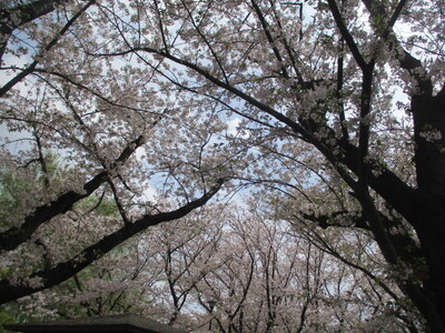 img_20260413-192502.jpg