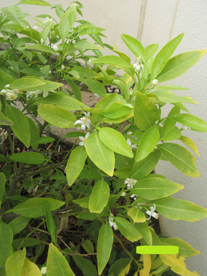 img_20260427-113254.png