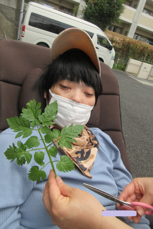 img_20260713-111520.png