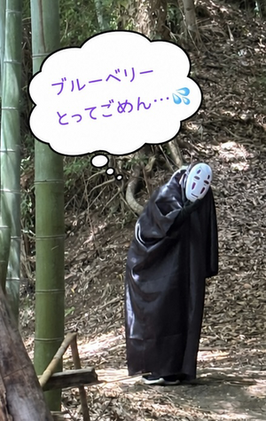 img_20260721-133537.png
