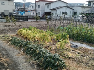 img_20260218-154223.jpg