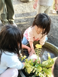 img_20260218-155507.jpg