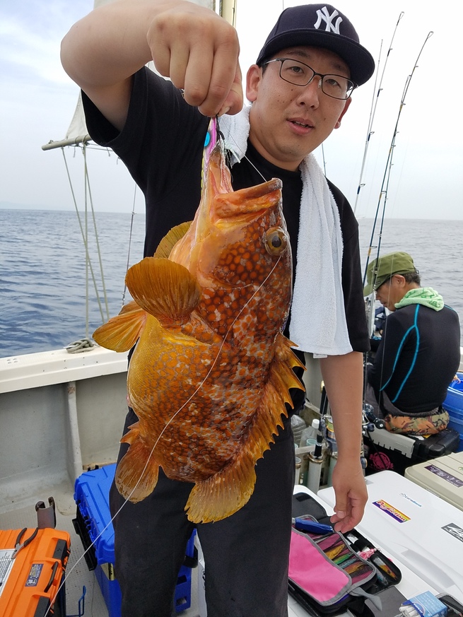 福井県三国のジギング船つれ鷹丸のホームページ 根魚写真