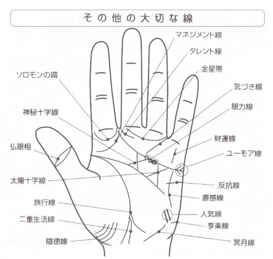 手相鑑定 瑠治琉 ルチル フリーページ