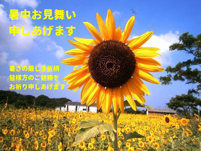 2023年暑中見舞い