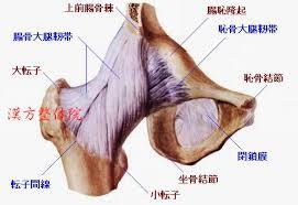 股の筋を切るってどういうこと