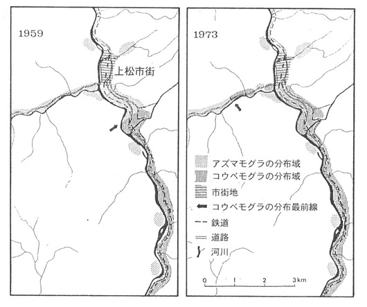 富山大学野生動物保全学研究室ホームページ モグラの生態