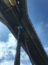 img_20181123-010148.jpg