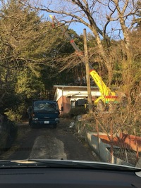 img_20181123-011153.jpg